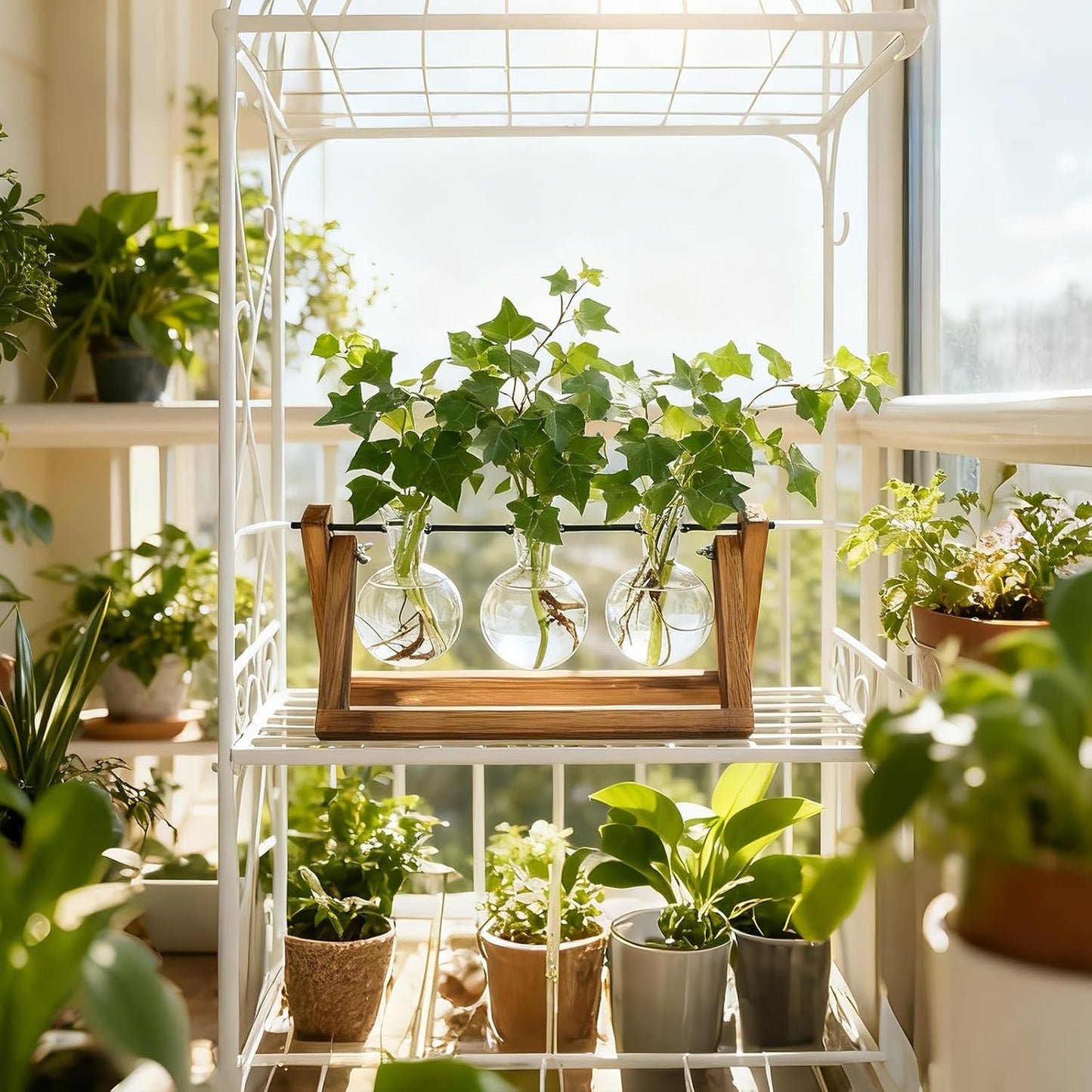 Plant Propagation Stations with Wooden Stand & 3 Glass Bulb Vases - Plant Terrarium for Indoor Plants, Home Office Desk Decor, Gardening Gifts for Women Mom, Birthday Gifts for Plants Lovers