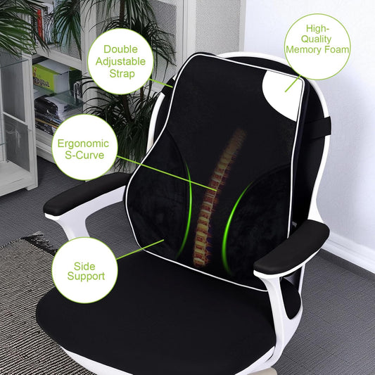 Lumbar Support Pillow for Office Chair Car Back Support Cushion,Memory Foam Lumbar Pillow for Lower-Back Pain Relief,Breathable Mesh Back Rest Pad for Long Sitting Office Worker, Car Driver