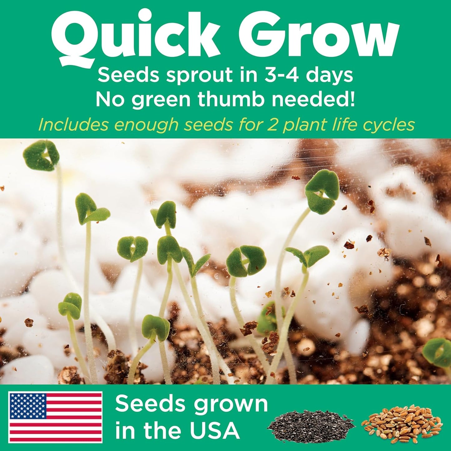 Creativity for Kids Grow 'N Glow Terrarium Kit - Educational Science Kits| Easter Basket Stuffers for Kids Gifts for Boys and Girls| Craft and STEM Projects (Ages 6+)