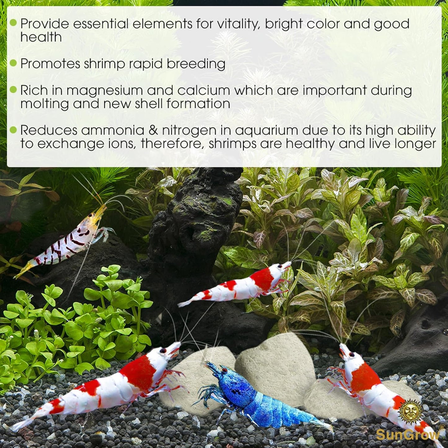 SunGrow Shrimp Rocks, Calcium, Magnesium Rocks for Crayfish, Hermit Crab, Snails, Crustacean Care, Aquarium Decor for Crystal Red, Amano and Ghost Shrimps, Nano Tank Accessories, Fish Tank Supplies