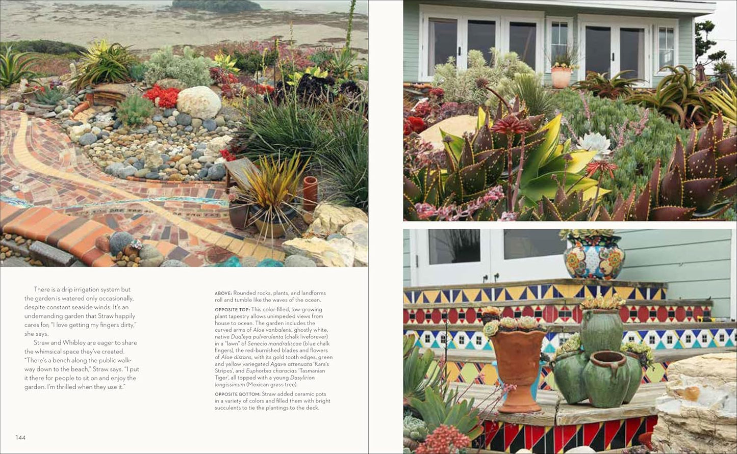 Hot Color, Dry Garden: Inspiring Designs and Vibrant Plants for the Waterwise Gardener