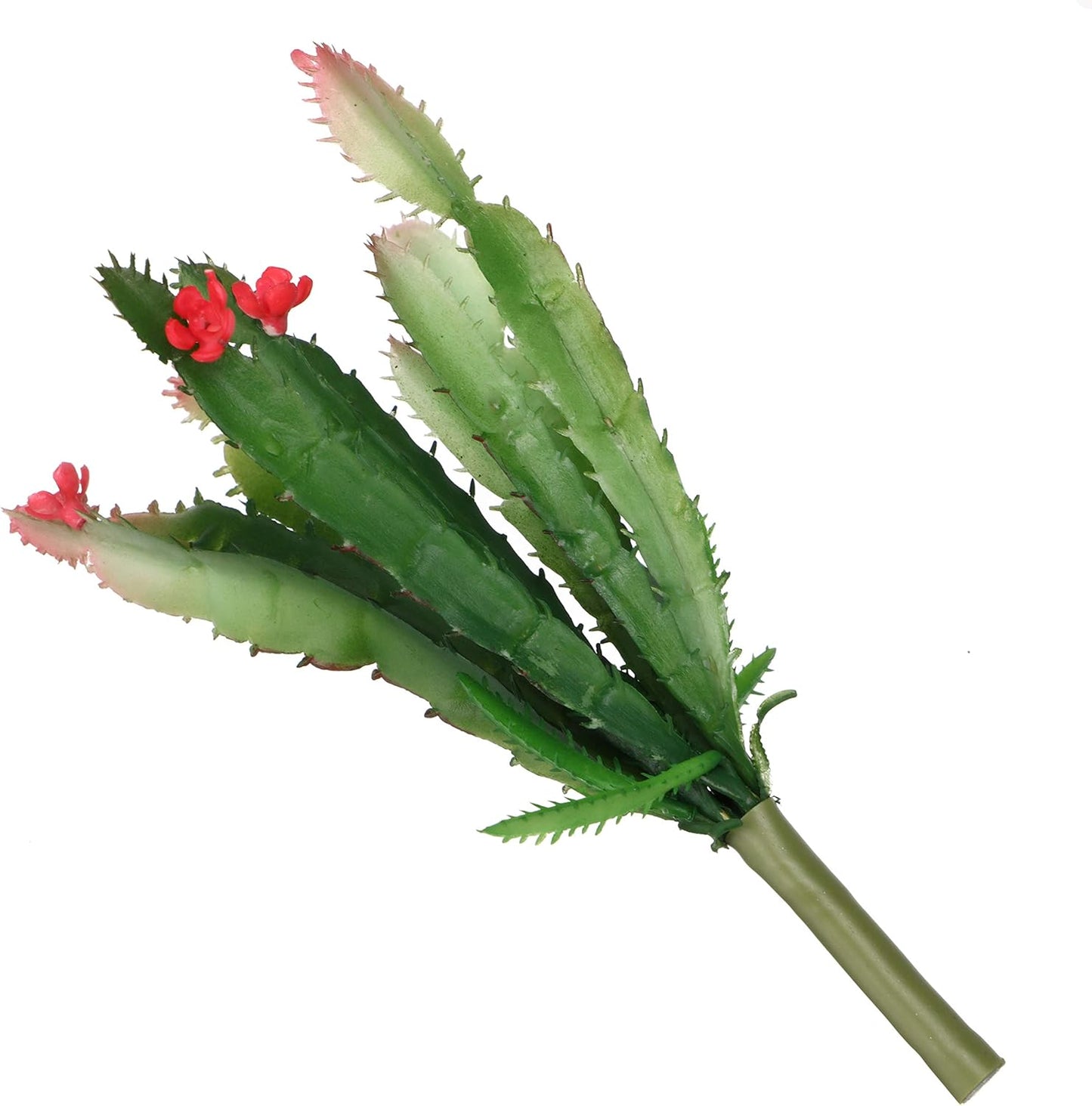 ShoppeWatch Mini Artificial Cactus Plants Unpotted - 2 Pcs Small Decor for Office and Home, Ideal for Party Decorations - Perfect Faux Cactus Accents AF50