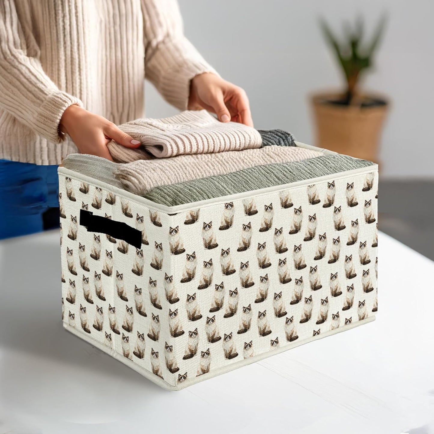 Ragdoll Cat Gifts Storage Bins & Boxes with Handles, Cat Mom Lovers Gifts Foldable Basket for Organizing, Pet Lover Gift Collapsible Storage Basket for Bedroom Bathroom Clothes Toys Books
