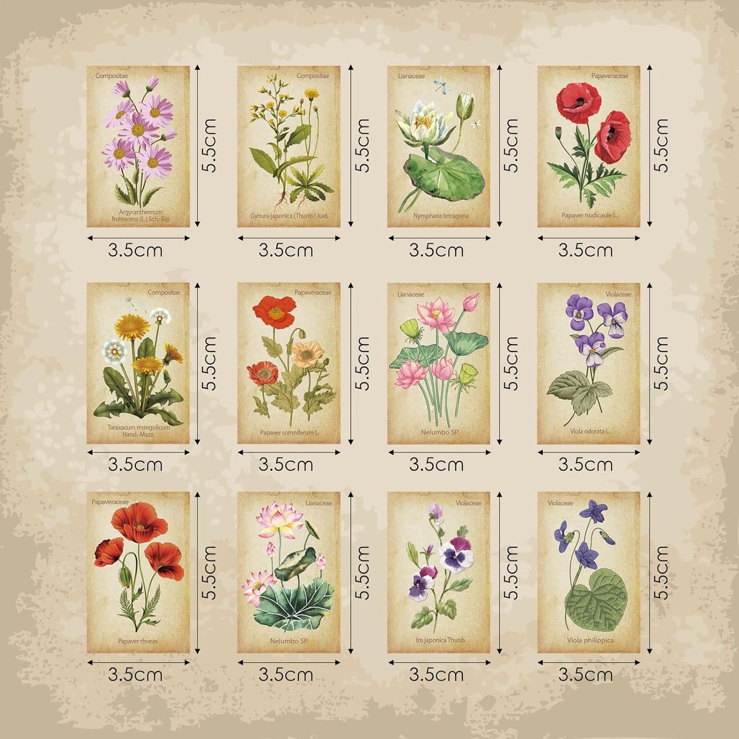 Outus 24 Pcs Floral Magnetic Bookmarks for Women Vintage Flower Book Markers Assorted Botanical Bookmarks Clips Page Markers Birthday Gift for Books Lovers Students Teachers Counselor