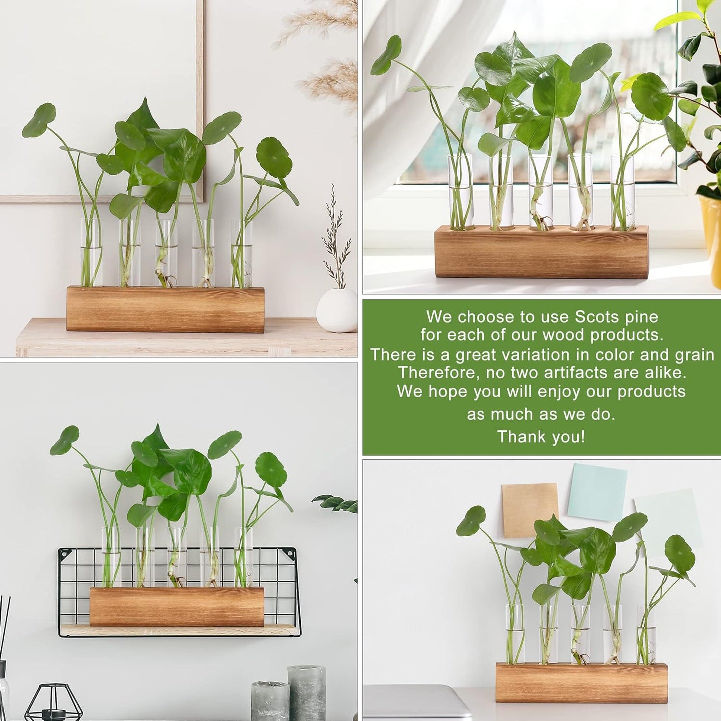 YIBOT Propagation Stations, Plant Terrarium with Wooden Stand, Birthday Gardening Gifts for Women Mom Plant Lovers,Home Office Desk Decor, 5 Glass Test Tubes Vases