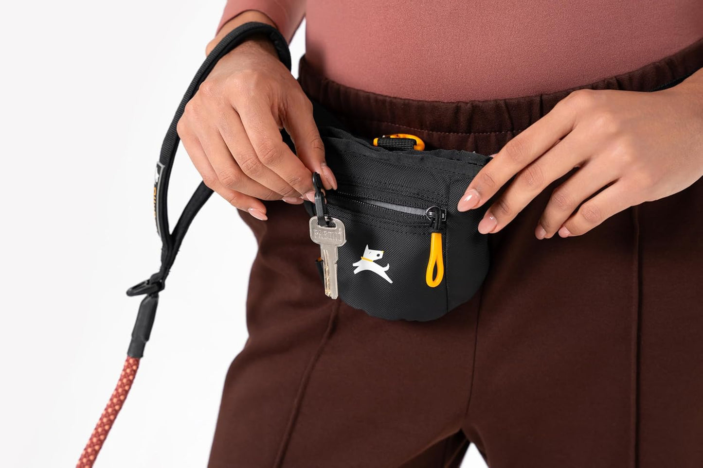 OllyDog Goodie Treat Bag, Dog Treat Pouch, Waist Belt Clip for Hands-Free Training, Magnetic Closure, Dog Training and Behavior Aids, Three Ways to Wear (Raven S'25)