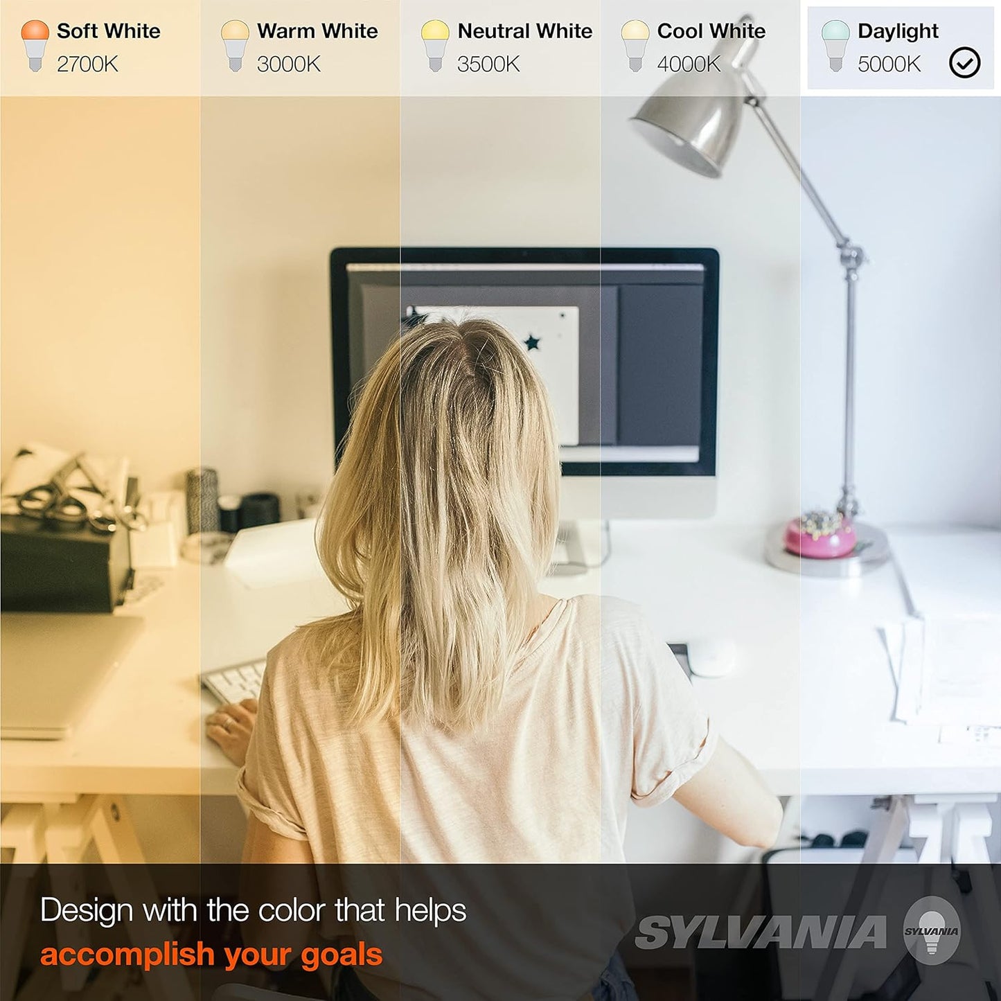 Sylvania LED A19 Light Bulb, 60W Equivalent, Efficient 8.5, 10 Year, W, 5000K, 800 Lumens, Frosted, Daylight (74766) (Pack of 1, 24 Count Total)