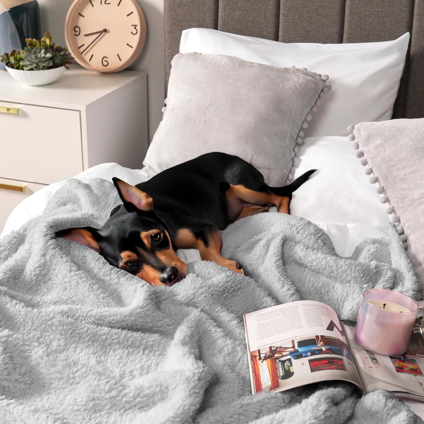 PAVILIA Sherpa Throw Blanket for Couch Sofa, Light Grey Fluffy Warm Plush Blanket for Bed, Cozy Super Soft Lightweight Throw, Fuzzy Decorative Blanket, All Season Home, 50x60