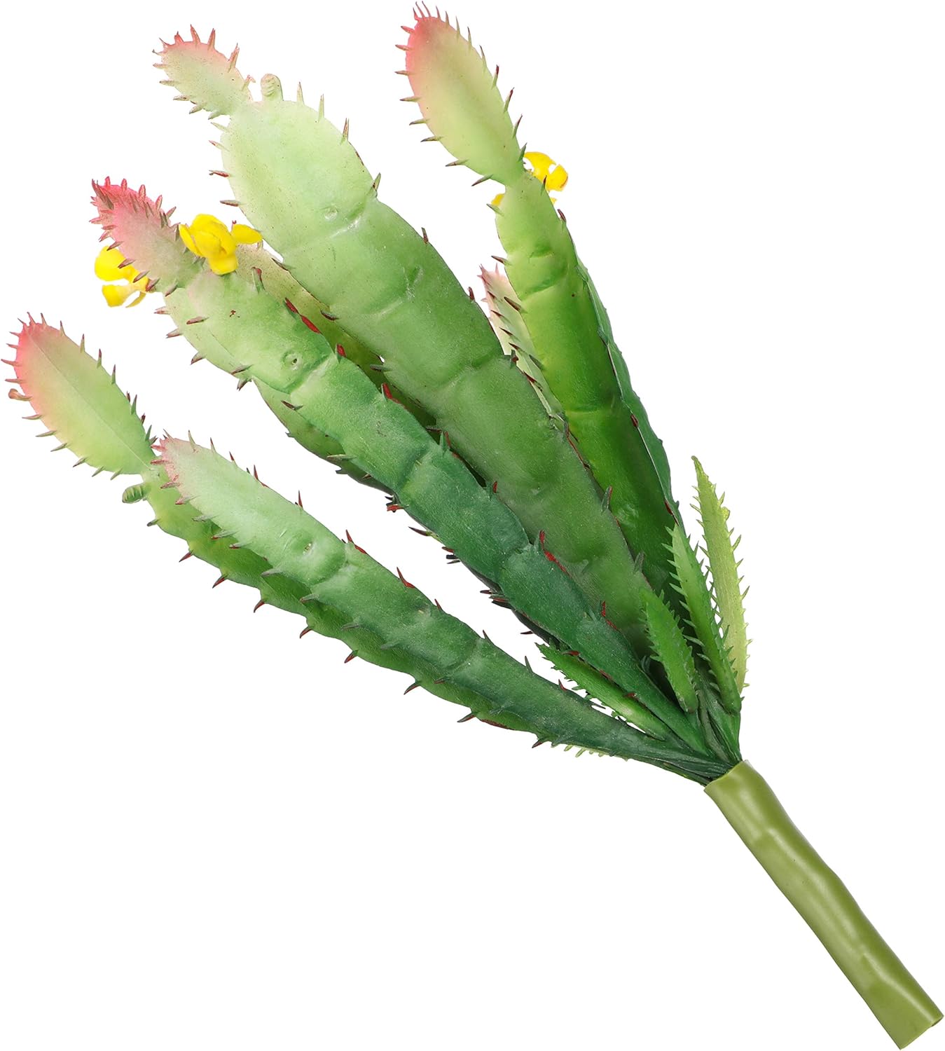 ShoppeWatch Mini Artificial Cactus Plants Unpotted - 2 Pcs Small Decor for Office and Home, Ideal for Party Decorations - Perfect Faux Cactus Accents AF50