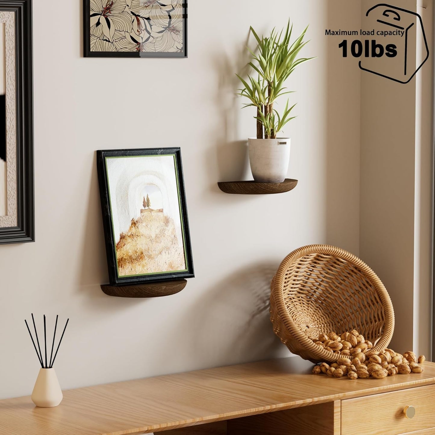 Solid Wood Half Round Floating Wall Shelves | Elegant Floating Shelves, Elevate Your Space. Perfect for Living Rooms, Bathrooms, Bedrooms, Offices, Children's Rooms