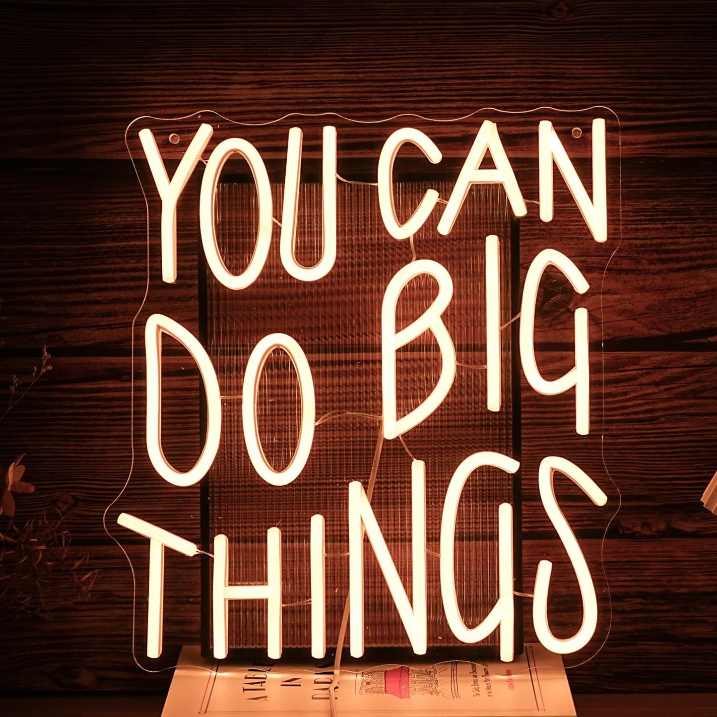 You Can Do Big Things Neon Sign Dimmable Warm White Neon Light for Wall Decor Powered by USB Positive Words Led Light Up Sign for School Classroom Bedroom Competition Occasion