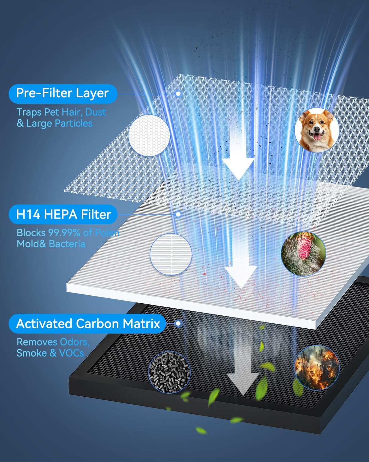 Air Purifiers for Home Large Room up to 2200ft², PM2.5 Air Quality Sensor Smart Mode, 20dB Sleep Mode & Night Light, H14 HEPA Filter Air Purifiers for Bedroom, Pets, Dust, Pollen, Tailulu HQKJ-180