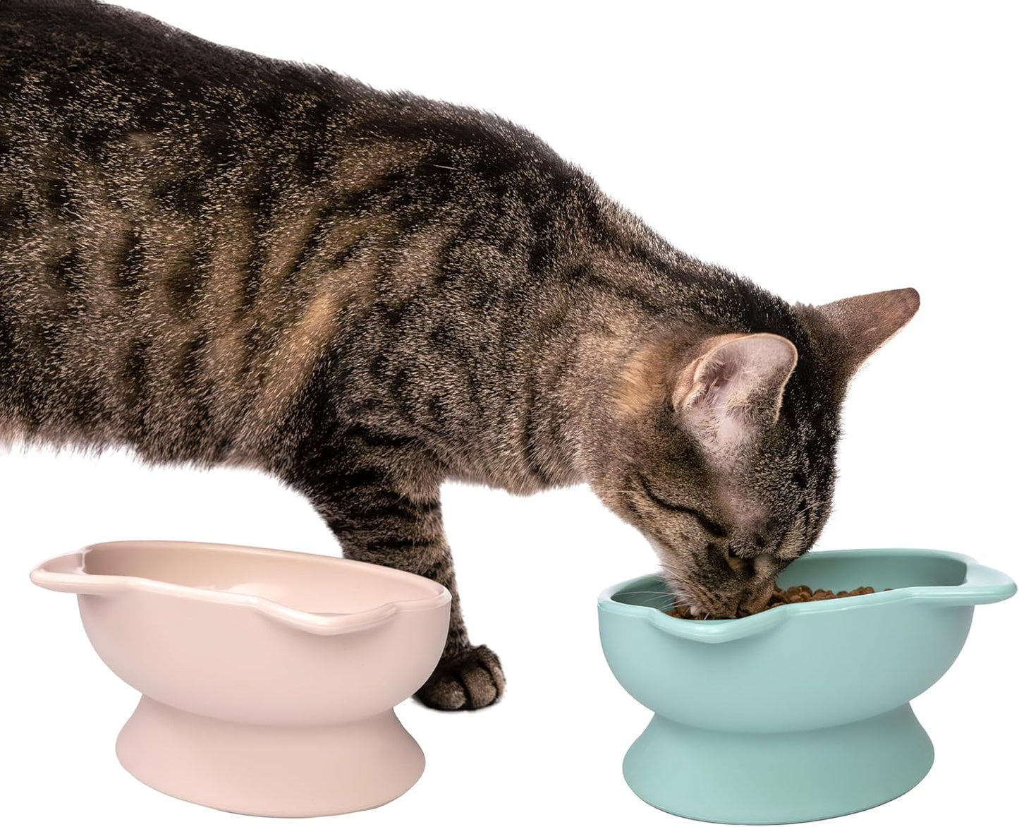 Kitty City Elevated Cat Bowls (Set of 2), Whisker-Friendly Raised Cat Food & Water Dishes, Modern Pedestal Design, Dishwasher Safe, 6.5 oz Each – Pink & Teal