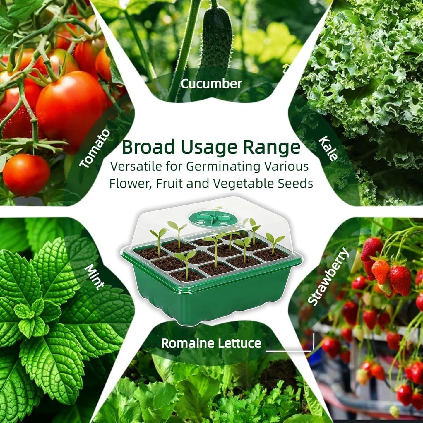 10 Pack Seed Starter Kit, 120 Cells Thickened Seed Trays with Humidity Dome, Base & Gardening Tools, Mini Greenhouse Germination Kit for Indoor Outdoor Vegetable Flower Growing