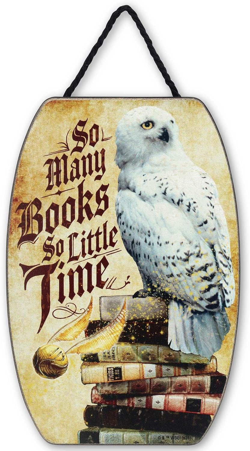 Harry Potter So Many Books So Little Time Hanging Wood Wall Decor - Fun Hedwig Sign for Bedroom or Library