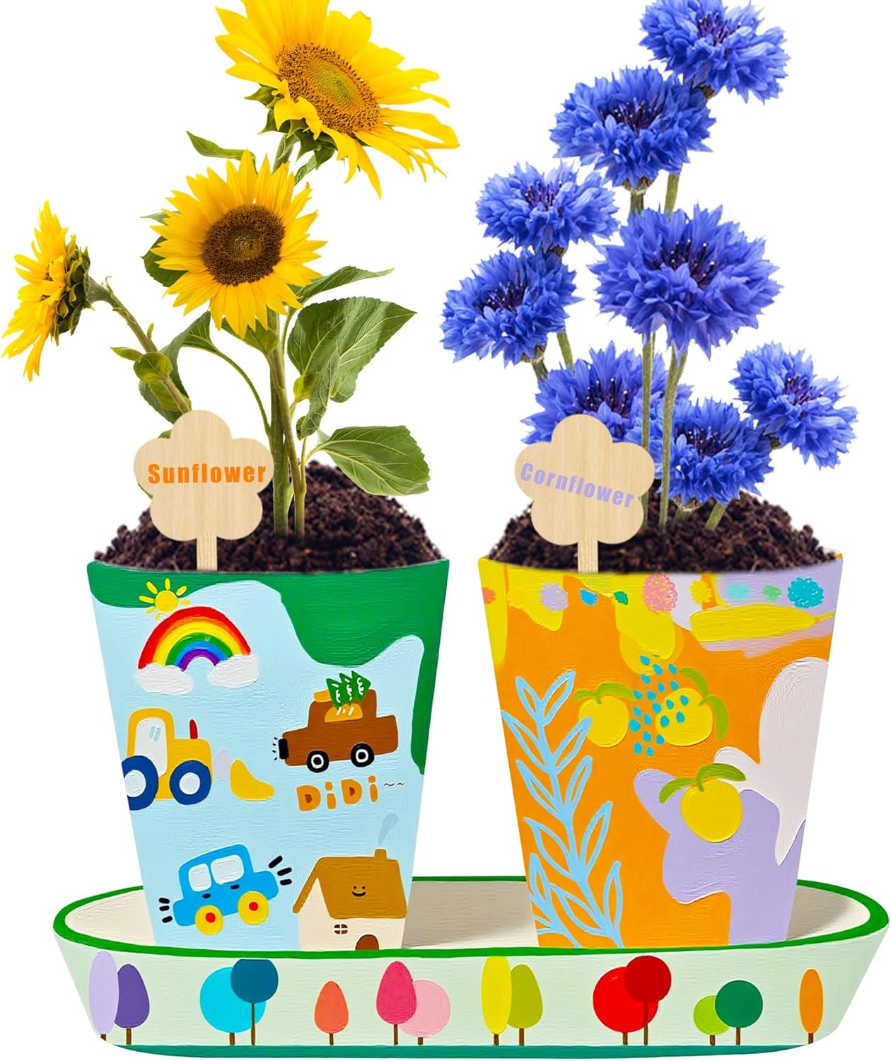 Paint & Plant Flower Growing Kit, Complete Gardening Set with 4 Ceramic Pots, Soils, Seeds and Other Tools, Ideal for Educational Arts and Crafts DIY Gift