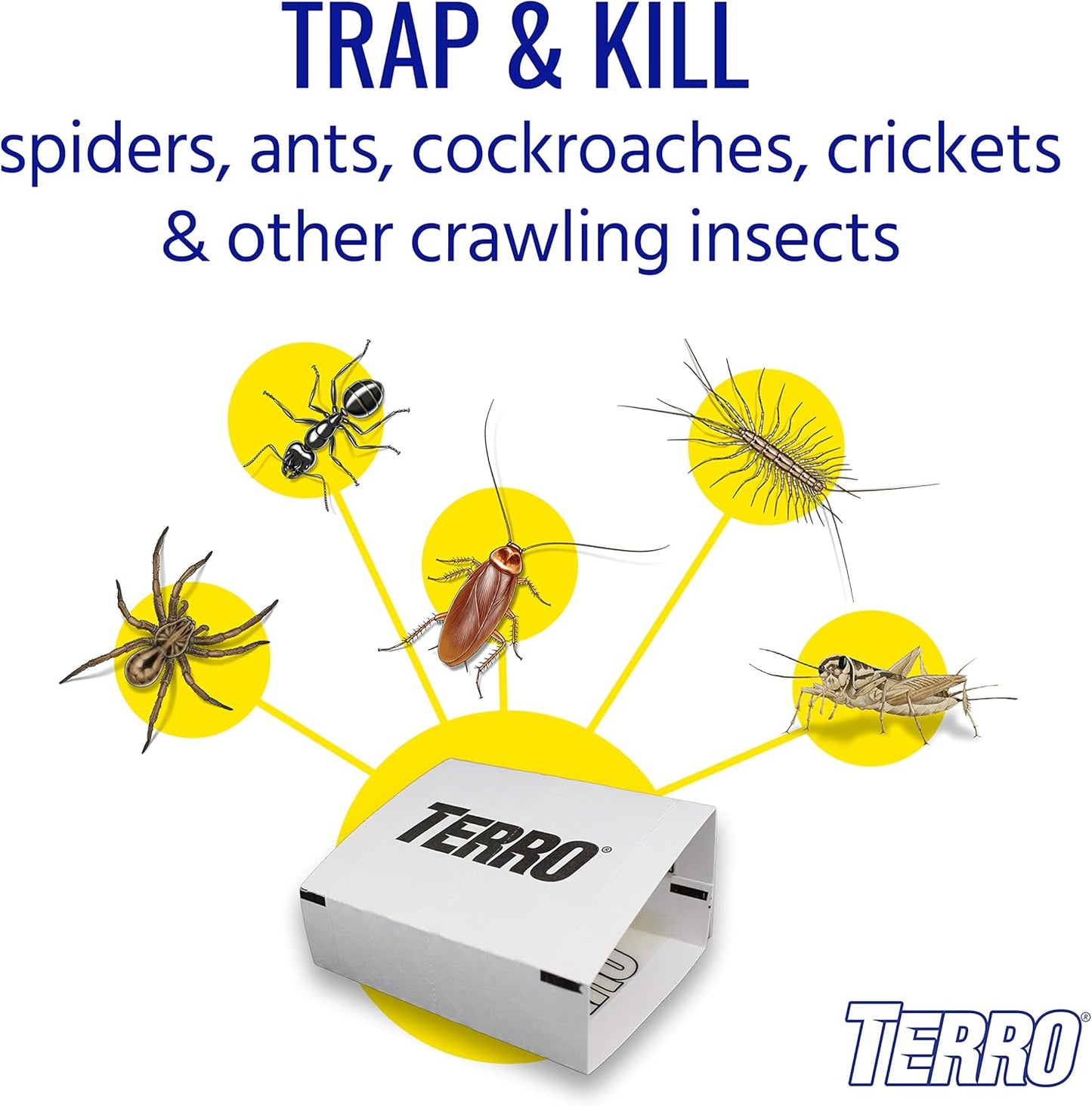 TERRO T3206SR Non-Toxic Indoor Spider, Ant, Cockroach, Centipede, & Insect Traps - Includes 12 Bug Traps Indoor for Homes