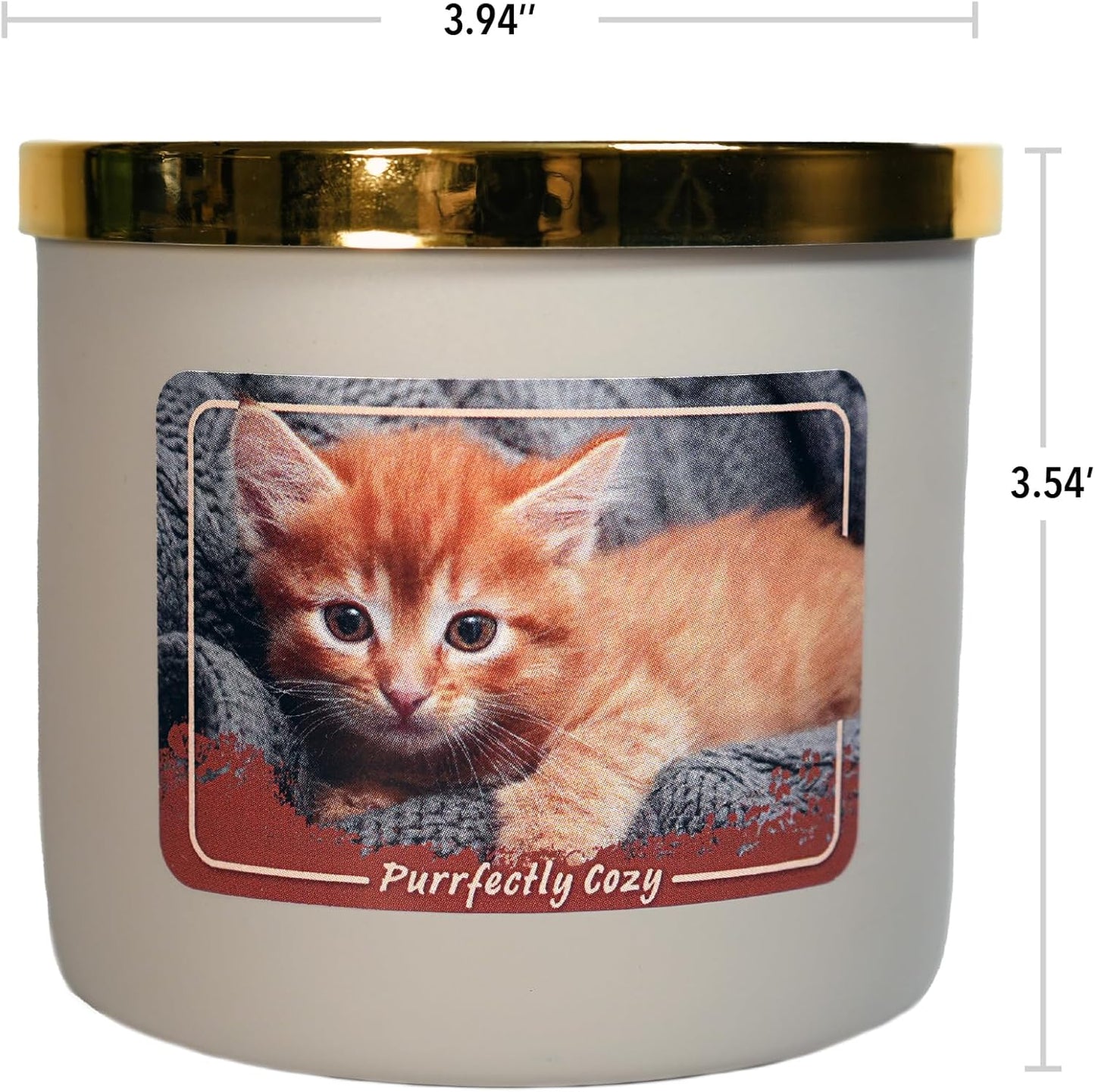 Colonial Candle Purrfectly Cozy Scented Jar Candle, 14 oz - Warm & Comforting Fragrance, Long-Lasting Burn, Made in The USA
