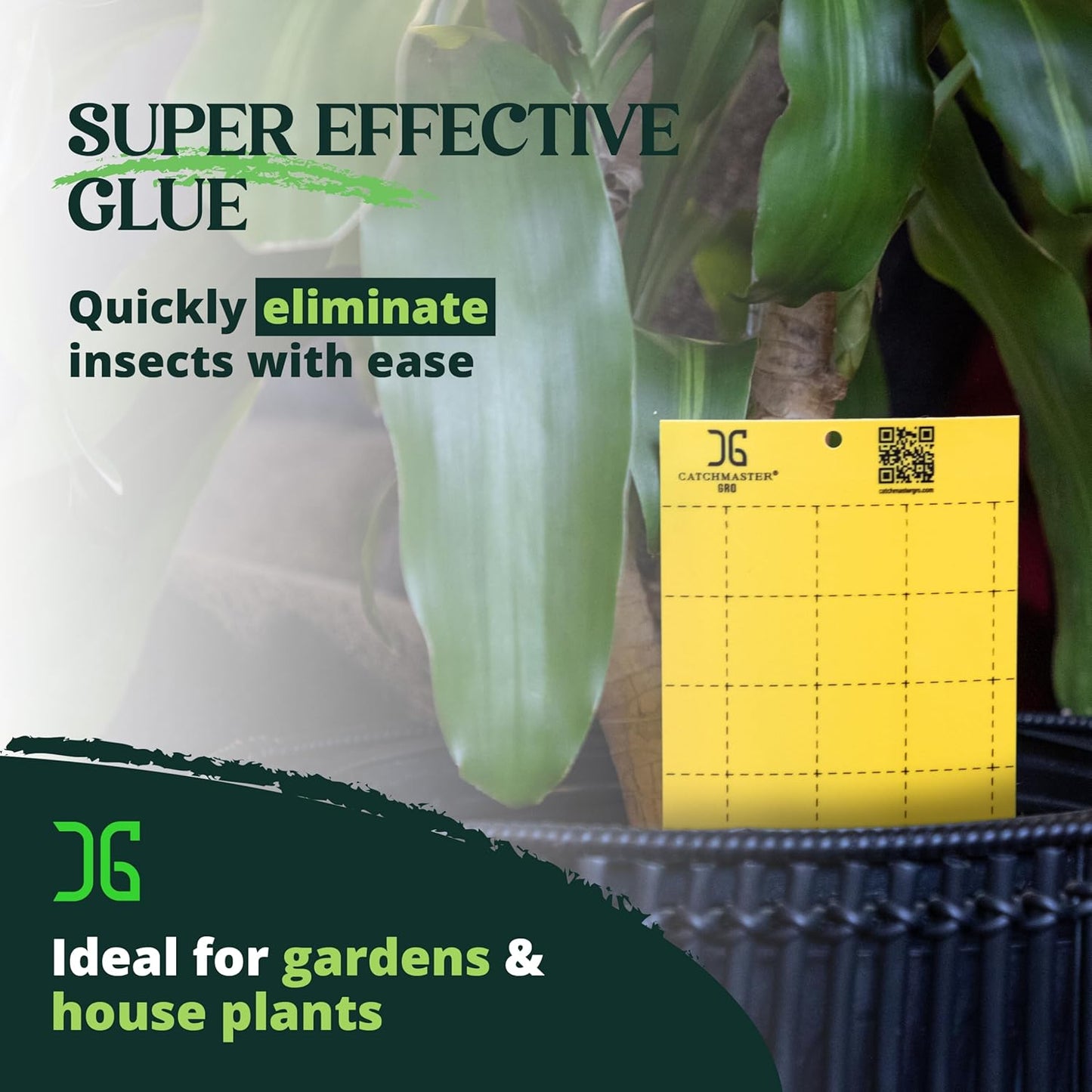 Catchmaster GRO Yellow Large Double Sided Sticky Traps 50PK, Adhesive Bug & Fruit Fly Trap, Pest Control for Home, Farm, Garden, Hydroponics & Greenhouse, Protect Live Plants Indoor & Outdoor