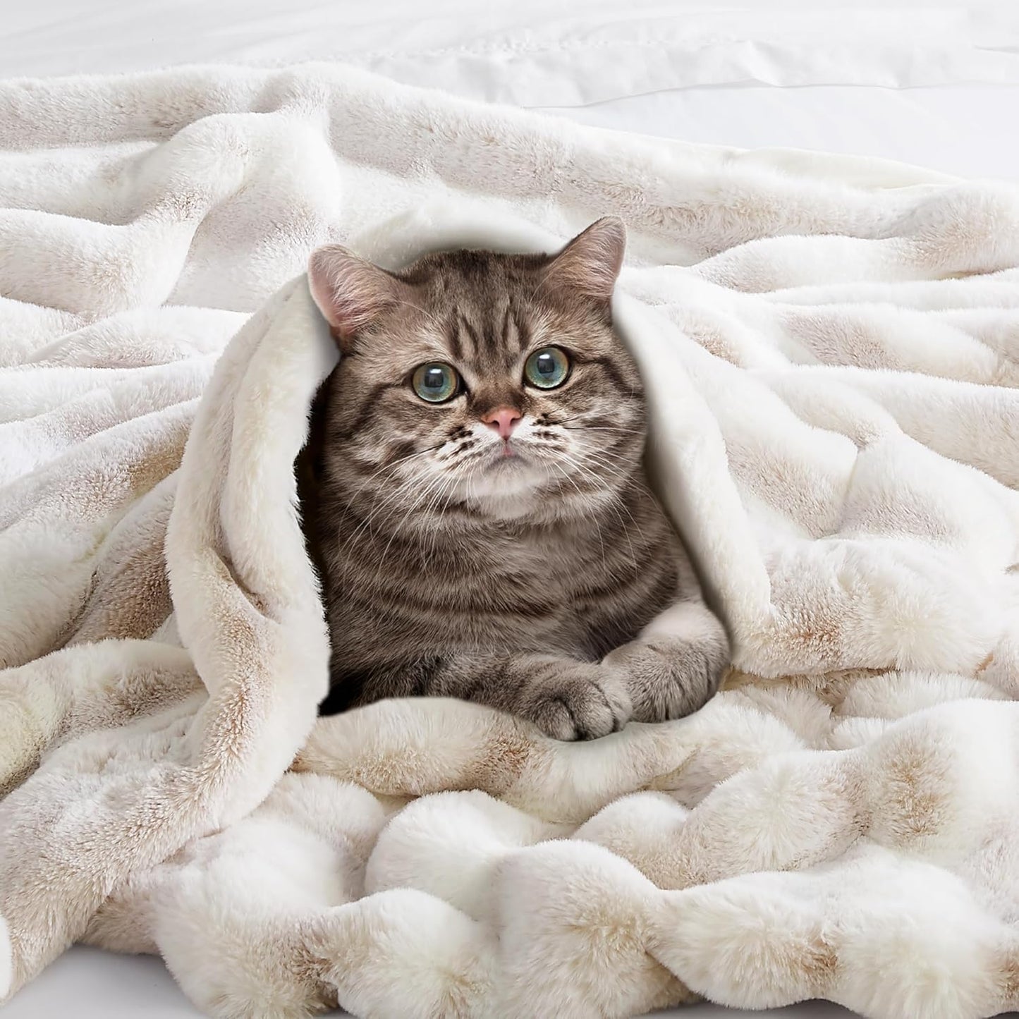 Hyde Lane Ultra Soft Plush Throw Blanket, Fuzzy Faux Rabbit Fur Throws, Luxury Cozy Fluffy Blankets for Sofa, Couch, Living Room Decor, Warm Gift for Women, Frost Fox, 50"x60"