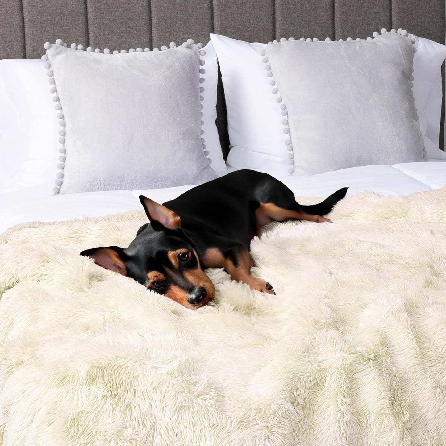 Pavilia Cream Beige Fluffy Throw, Twin Bed, Fuzzy Blanket for Women Men, Super Soft Thick Faux Fur Sherpa Blanket Throw, 60x80