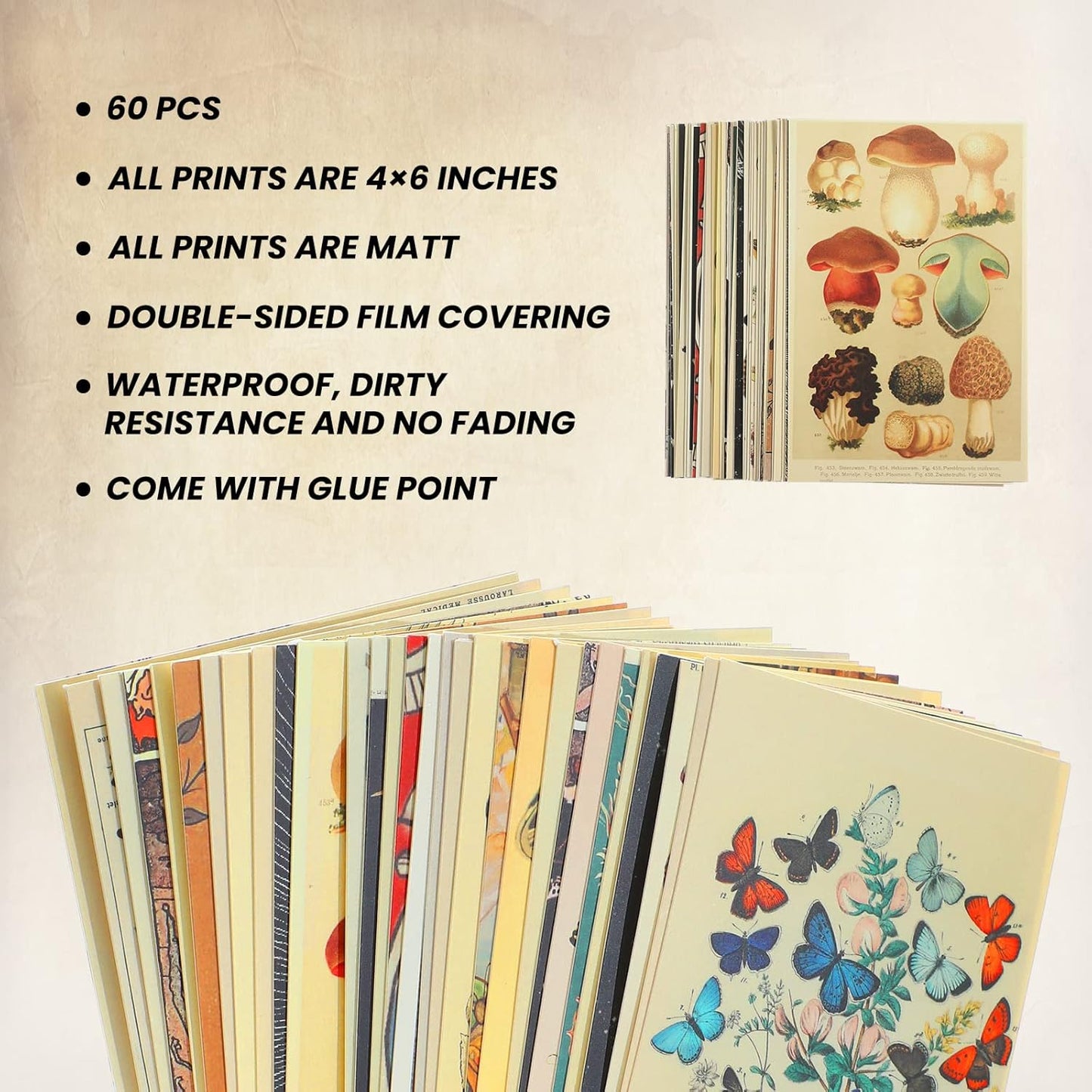 Containlol 60 Pcs Vintage Wall Collage Kit Maximalist Paintings Art Prints Botanical Illustration Tarot Aesthetic Vintage Prints Cards Photo Wall Collection Aesthetic Collage Dorm Bedroom Decor