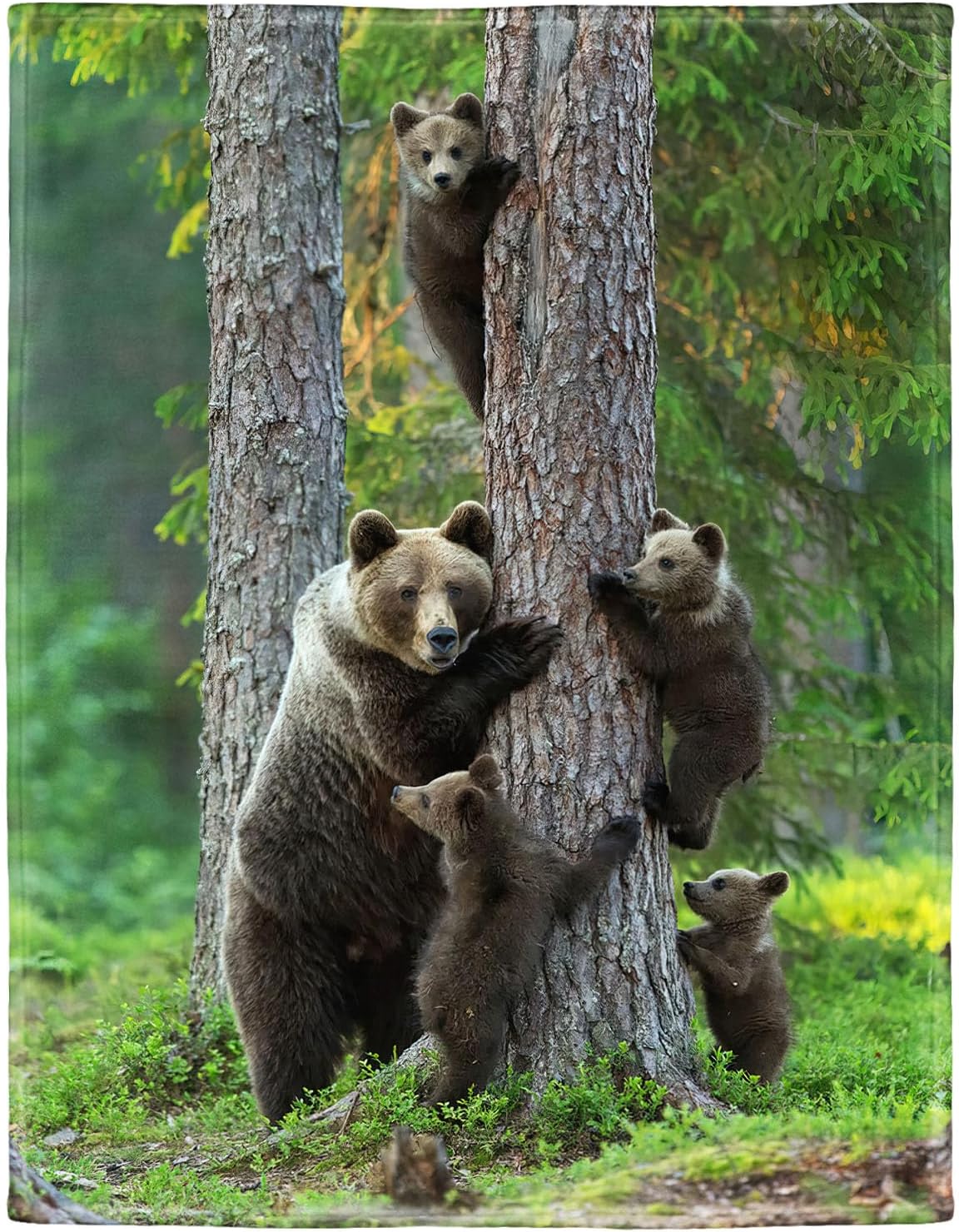 Soft Cozy Fleece Throw Blanket for Couch, Brown Bear Woods, 60X80 Inches