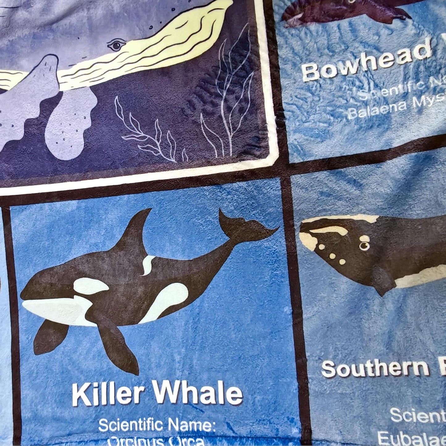 Whale Blanket, Super Soft Cozy Blue Whales Blanket, Twin Size Ocean Animals Fleece Blanket, Throw Blanket for Baby Kids Adults (Whale 4, 48"x60")