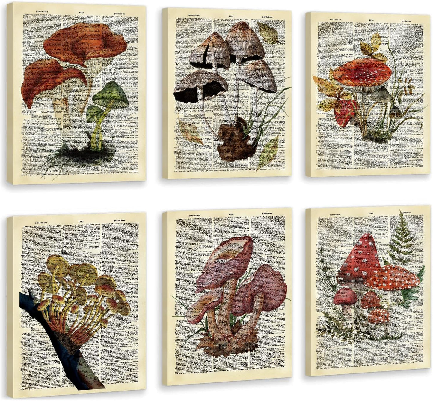 CHDITB Mushroom Wall Art, Mushrooms Dictionary Framed Canvas Wall Art Set, Nature Mushroom Wall Decor, Vintage Fungus Wall Painting, Retro Aesthetic Art Prints For Living Room Bedroom Decor(8X10 Inch)