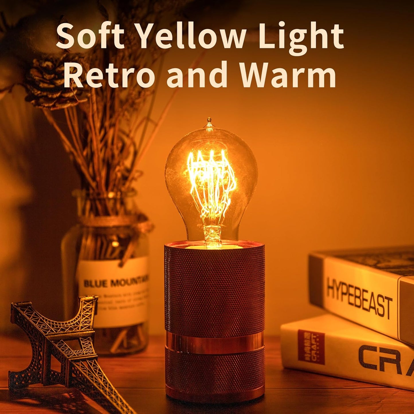 Warm Incandescent Light Bulbs 60 Watt,A19/A60 Vintage Style Edison Bulbs E26,Soft Yellow Light Bulbs,Amber Bulbs,Retro Light Bulb Old Fashioned,Halogen Dimmable Edison Bulb Squirrel Cage