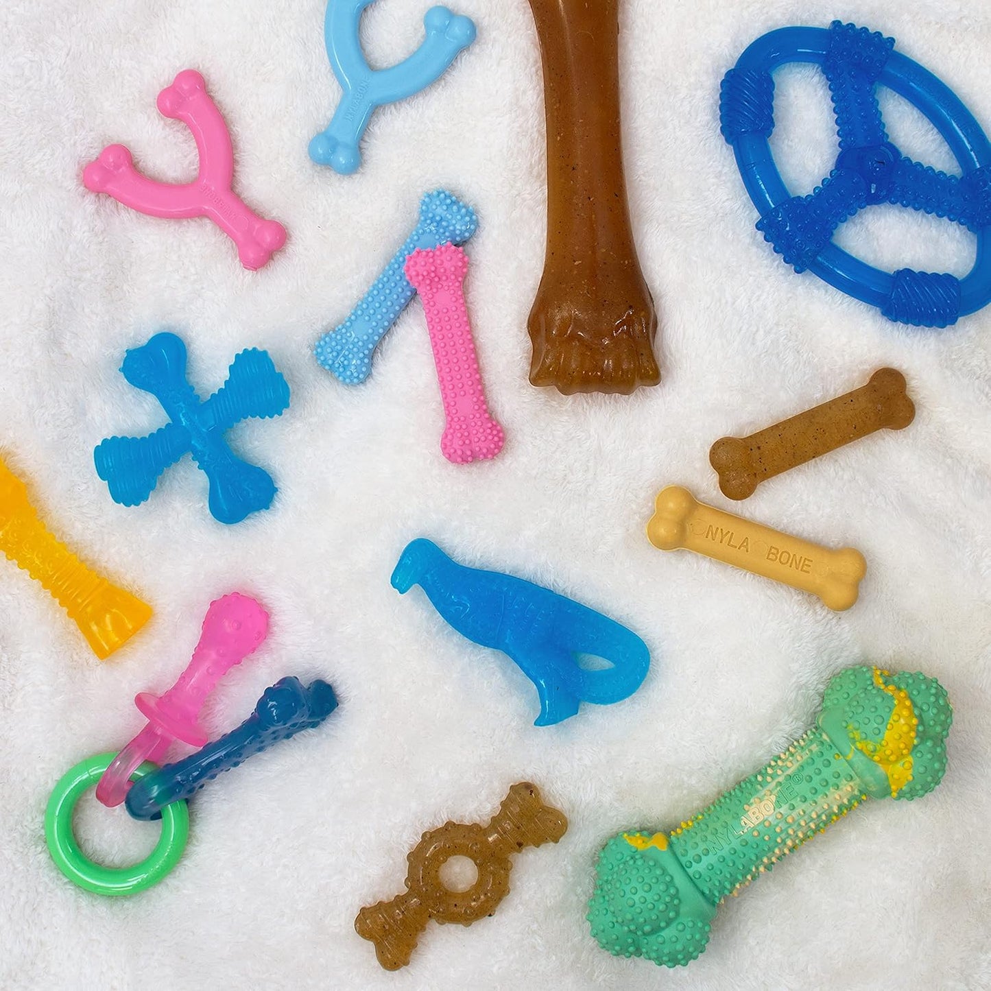 Nylabone Ring Bone Chew Toy for Puppies, Puppy Teething Toys, Puppy Enrichment Toys, Chicken Flavor, X-Small Dogs - Up to 15 lbs, 1 Count