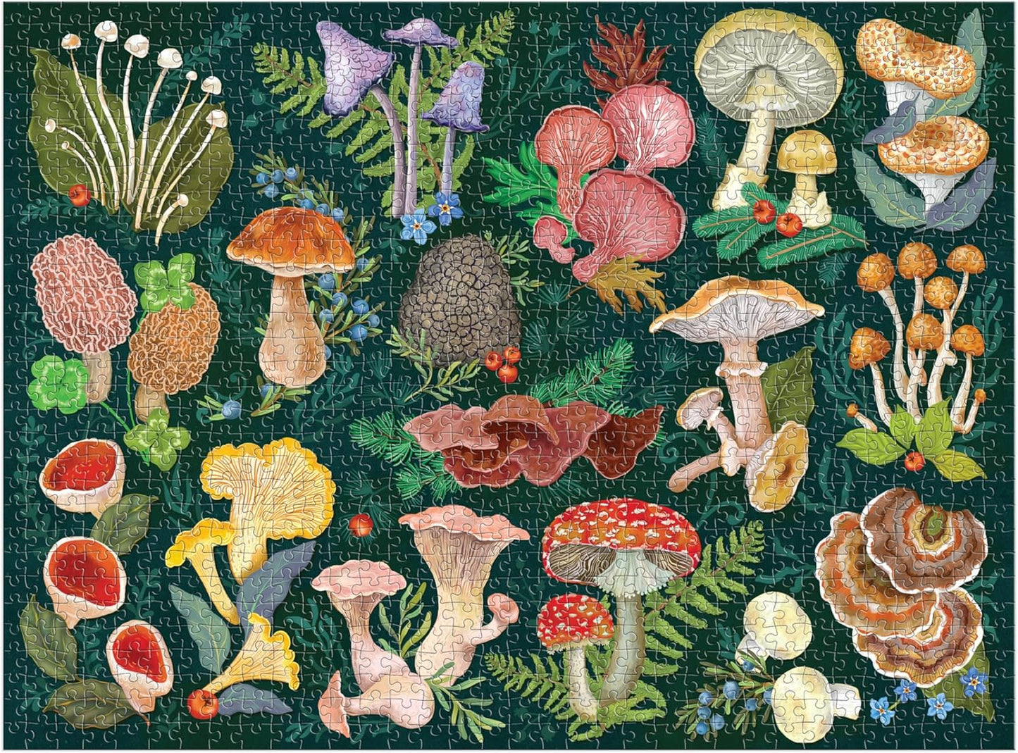 Galison World of Mushrooms – 1000 Piece Jigsaw Puzzle Featuring Beautiful Painted Artwork of A Mushroom and Fungi Collection