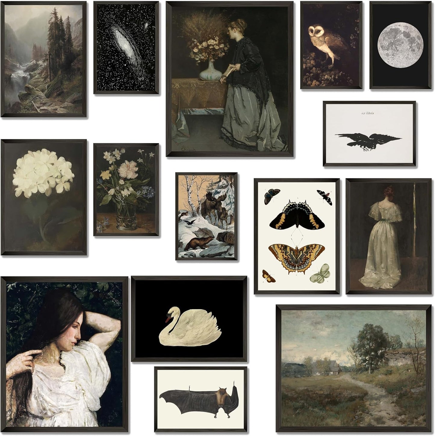 LANCHI95 15 PCS Vintage Art Prints - Victorian Gothic Wall Art Prints, Vintage Posters for Room, Moody gallery wall art, Wall Print for Bedroom, Vintage French Country Botanical Painting (UNFRAMED)