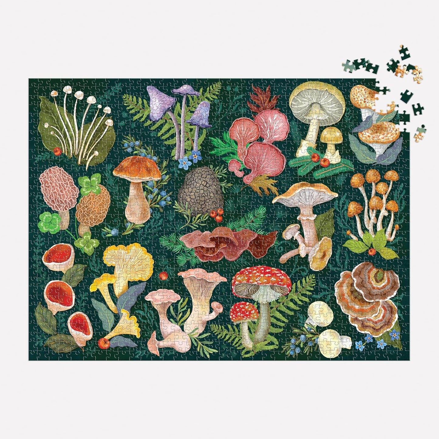 Galison World of Mushrooms – 1000 Piece Jigsaw Puzzle Featuring Beautiful Painted Artwork of A Mushroom and Fungi Collection