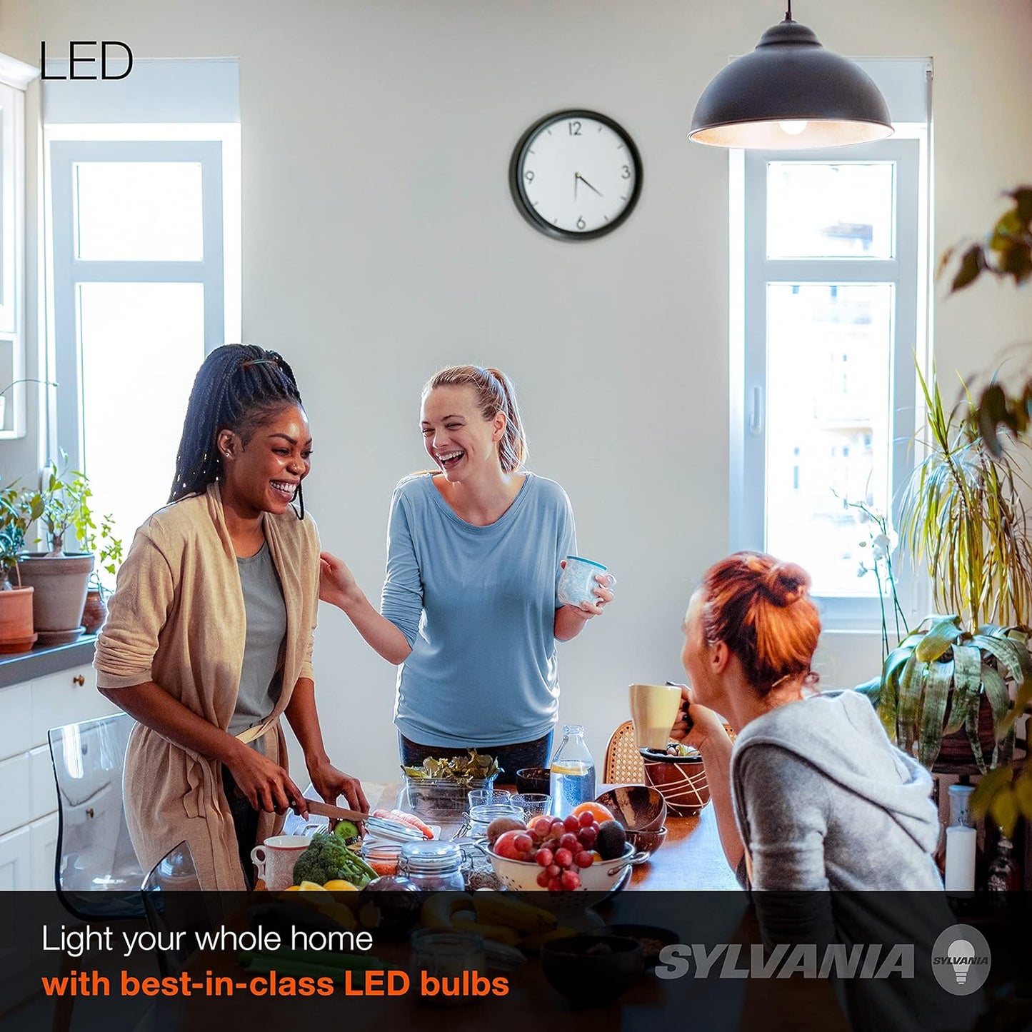 Sylvania LED A19 Light Bulb, 60W Equivalent, Efficient 8.5, 10 Year, W, 5000K, 800 Lumens, Frosted, Daylight (74766) (Pack of 1, 24 Count Total)