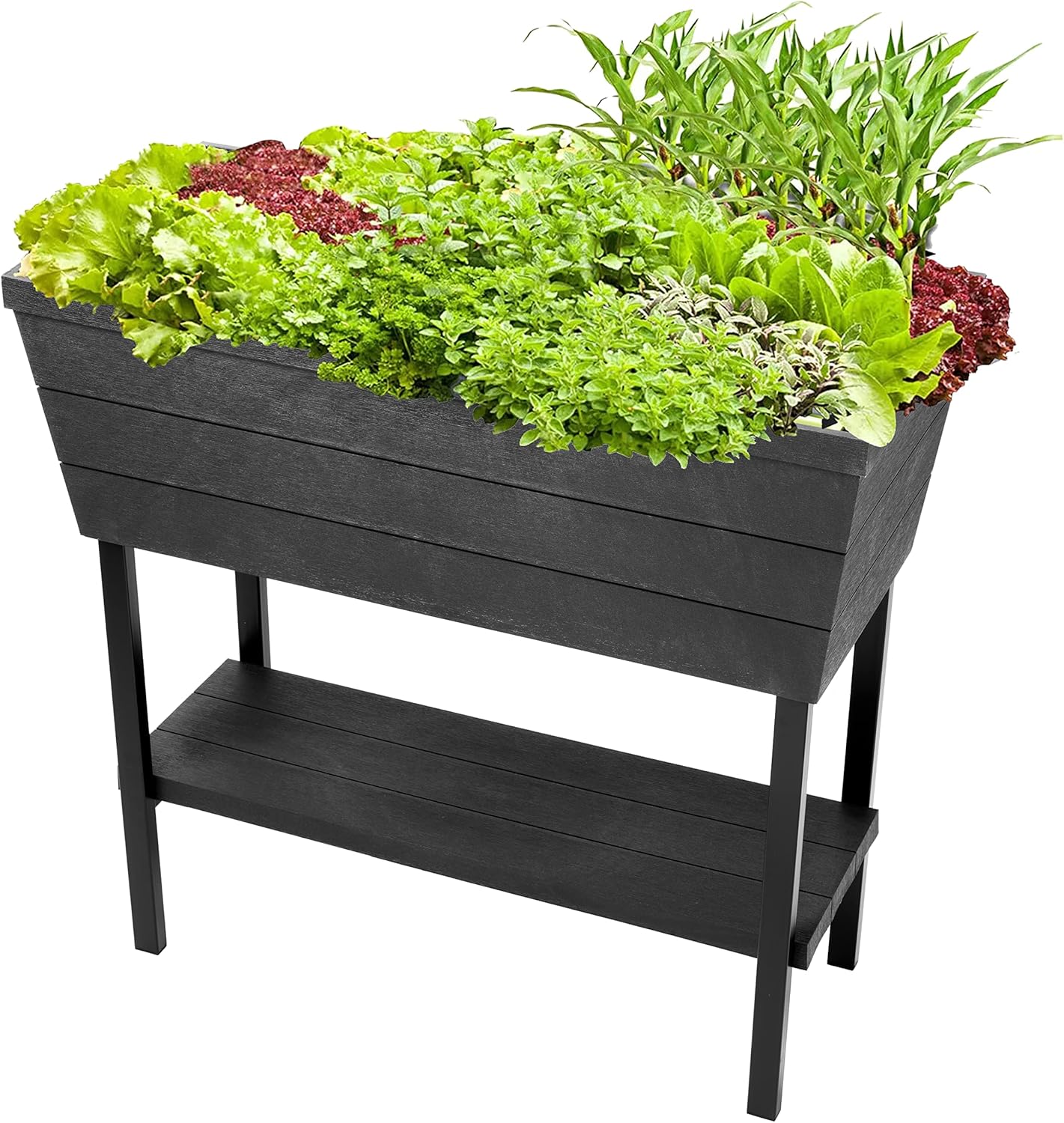 Keter Urban Bloomer 12.7‑Gallon Raised Garden Bed – Elevated Outdoor Planter Box with Self‑Watering Reservoir, Water Gauge & Drainage System, Perfect for Herbs & Vegetables, Dark Grey