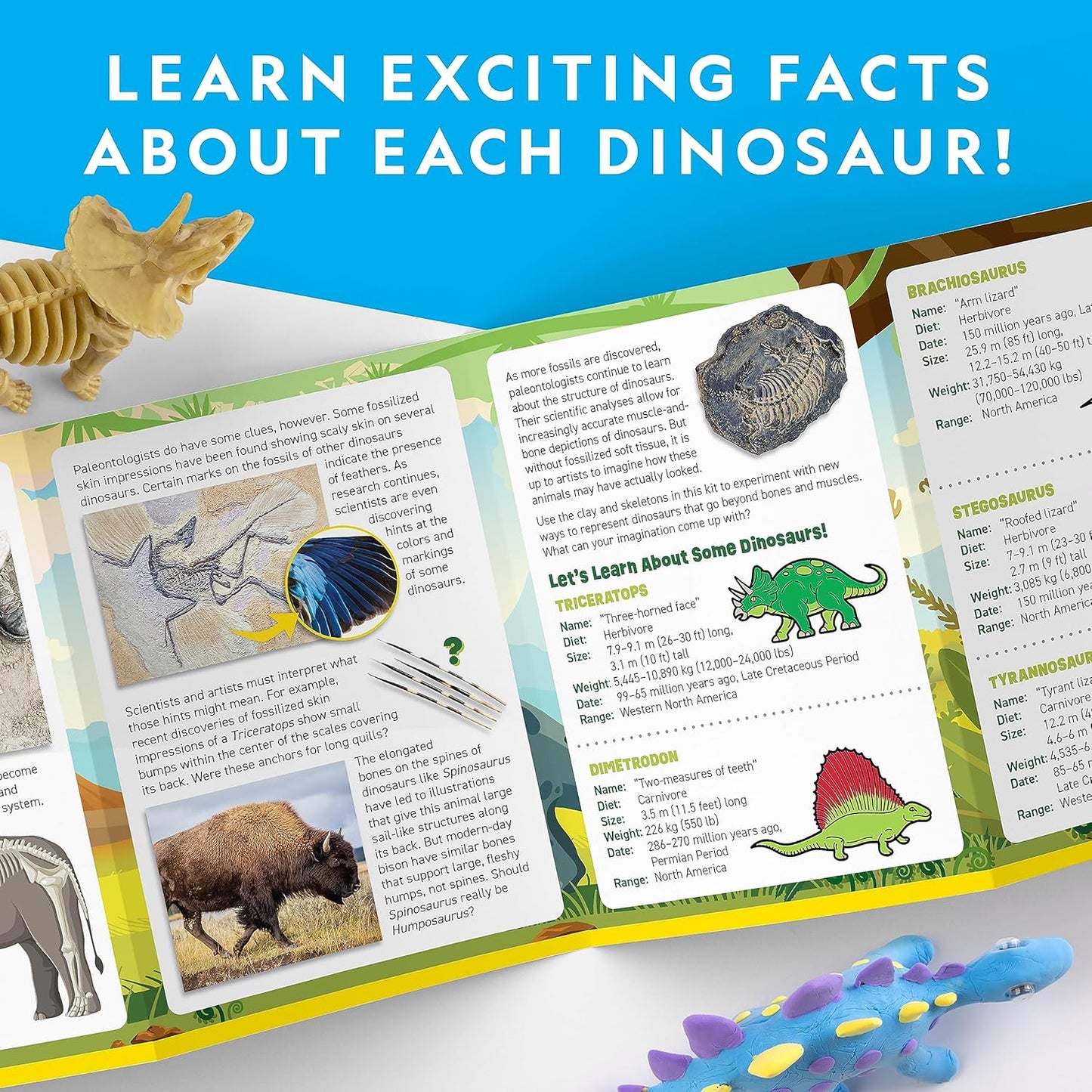 NATIONAL GEOGRAPHIC Clay Dinosaur Arts & Crafts Kit - Dinosaur Air Dry Clay for Kids with 5 Clay Colors, 5 Dino Skeletons & Googly Eyes, Dinosaur Activity for Girls and Boys Ages 4 5 6 7 8 9 & 10