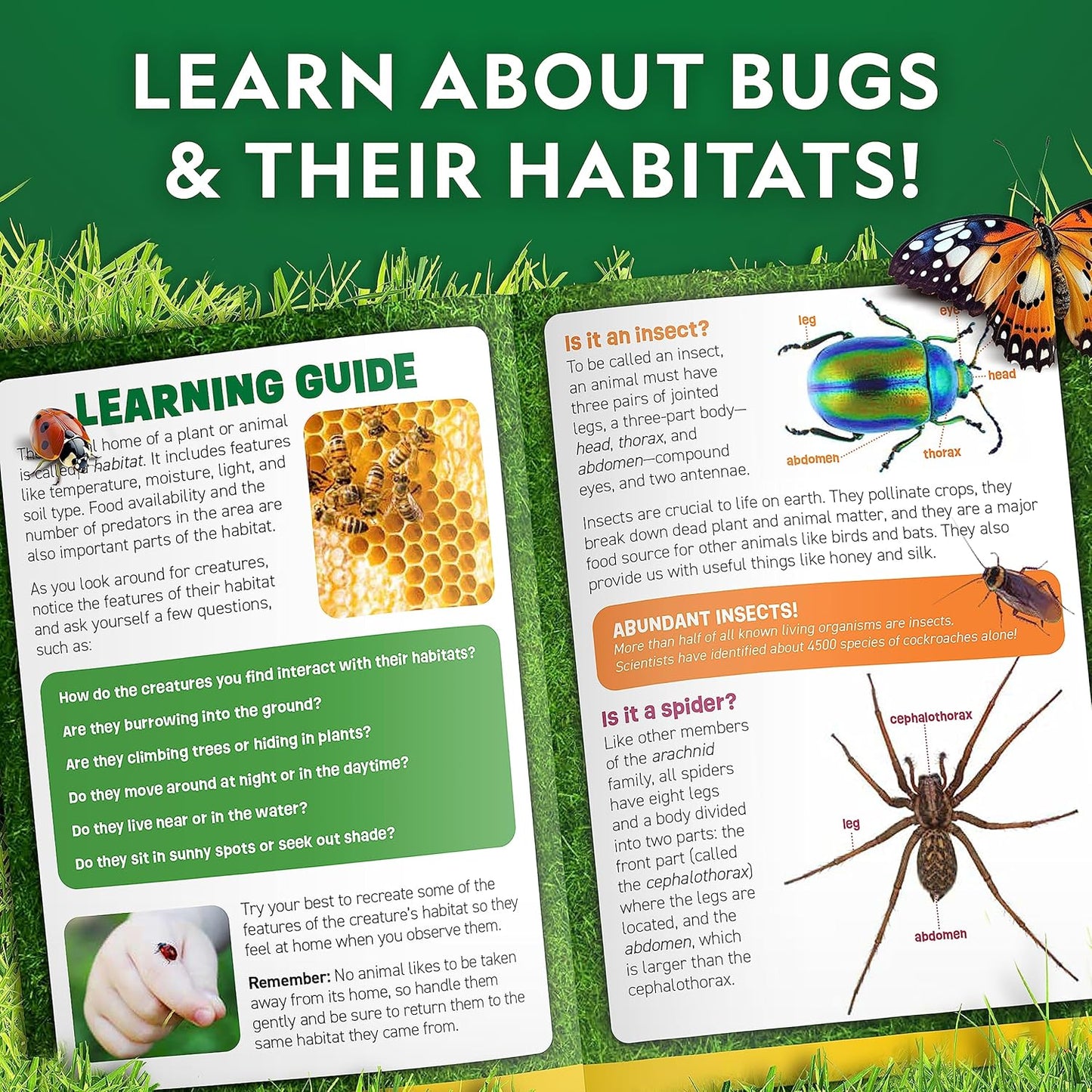 National Geographic Bug Catcher Kit for Kids - Kids Bug Habitat with Magnified Viewer, Bug Box, & Tweezers, Insect Habitat, Outdoor Toys, Bug Catching Kit, Bug Box, Easter Basket Gifts for Kids
