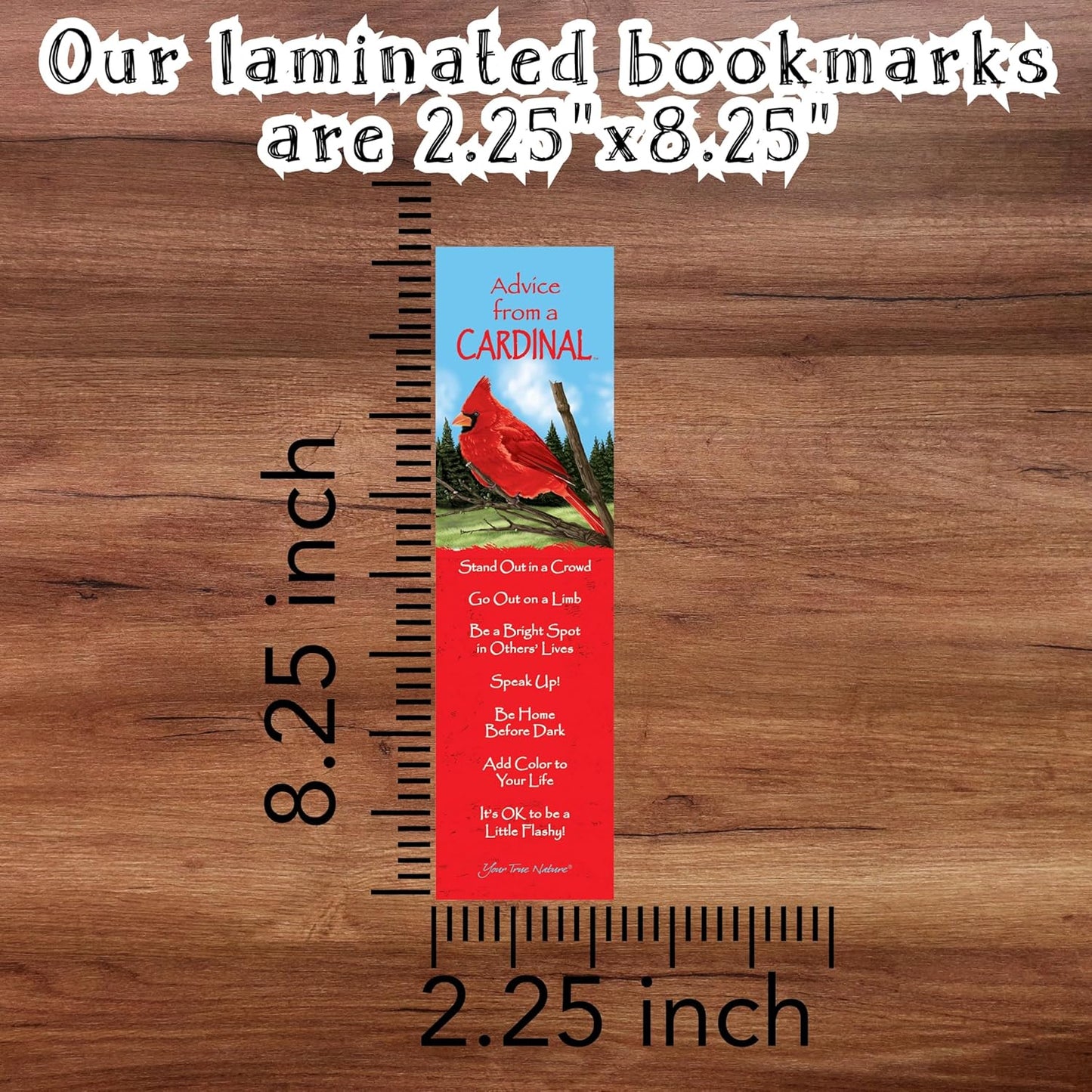 Advice 3 Bookmark Enjoy The Dark Set, Laminated with Glossy Finish, Printed on Recycled Paper, Night Sky, Galaxy, Star (AMBM-DARKSKY)