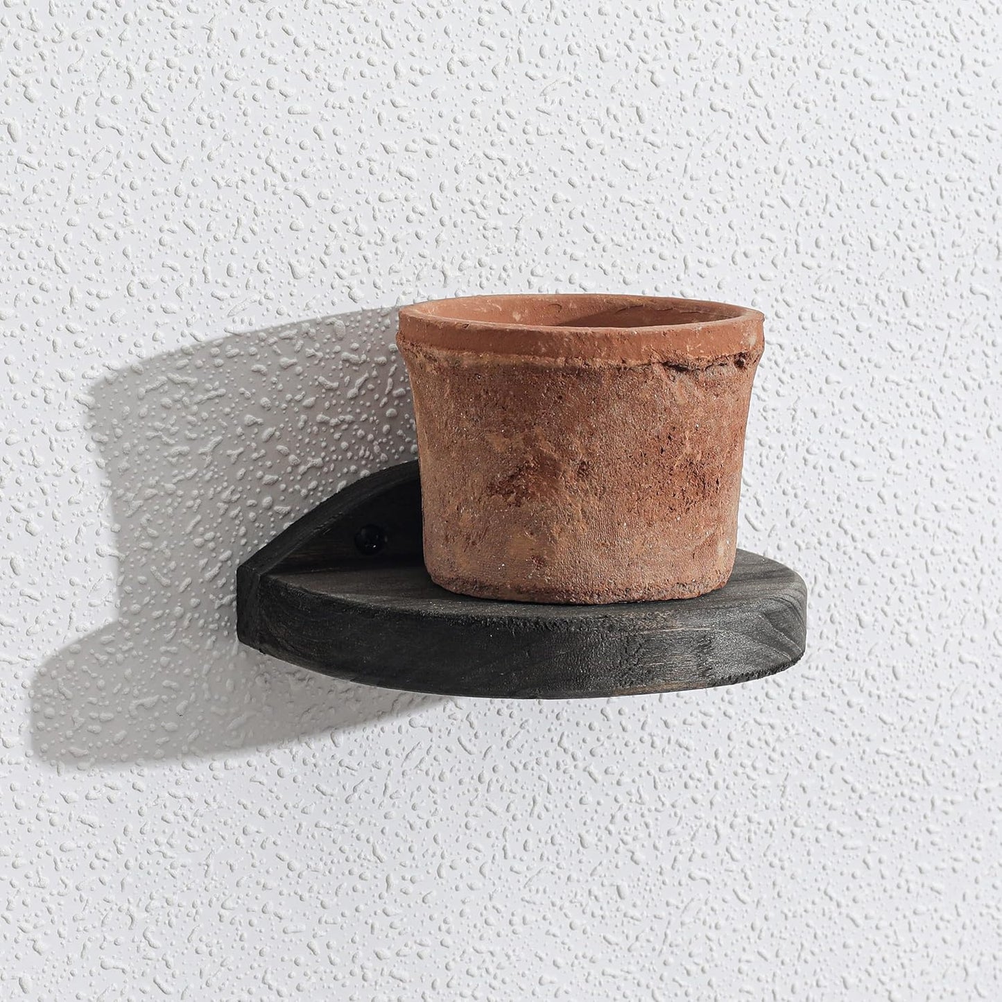 Freezing point Small Floating Shelves for Wall Set of 2 Semicircle Wood 4Inch Mini Wall Shelf Decor Plant Display Collectibles Mounted Kitchen Bathroom Bedroom Corner Decorative Storage Tiny Stand