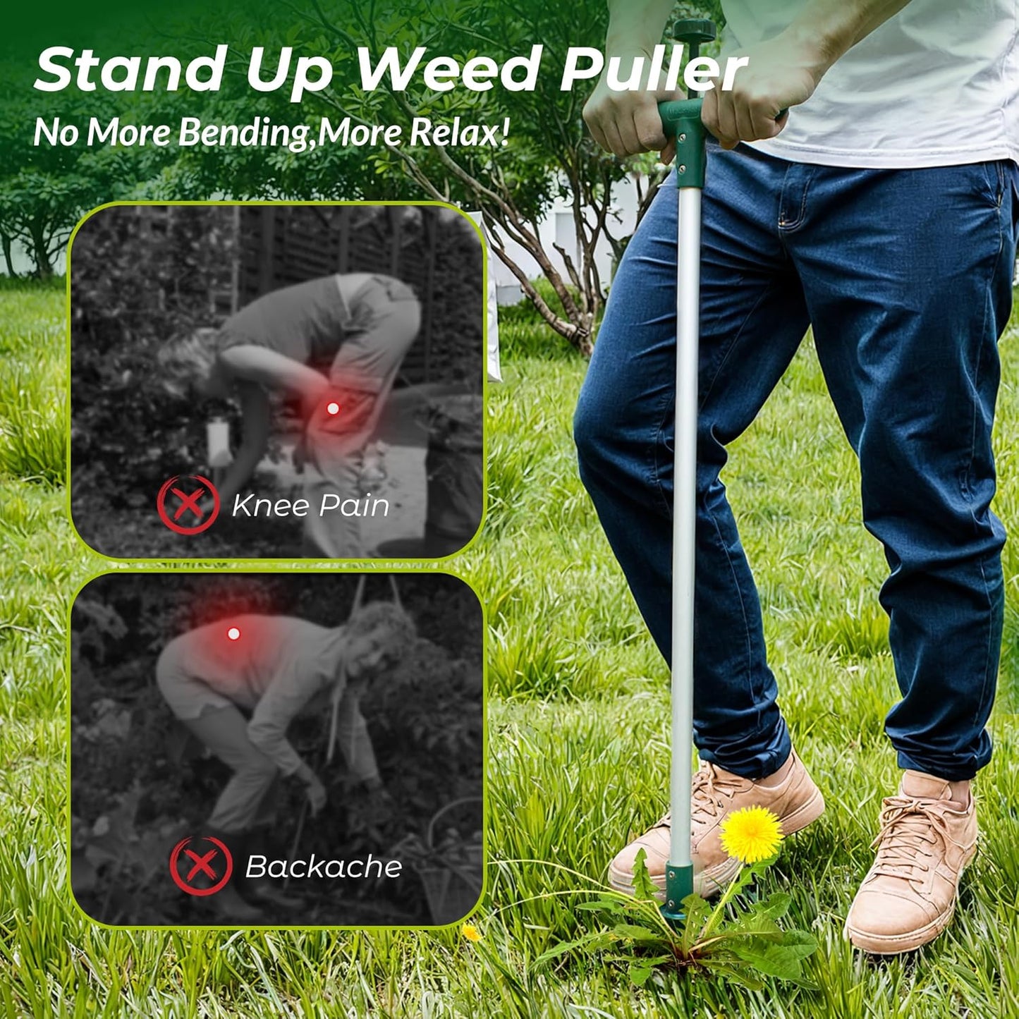 Walensee Weed Puller, Stand Up Weeder Hand Tool, Long Handle Garden Weeding Tool with 3 Claws, Hand Weed Hound Weed Puller for Dandelion, Standup Weed Root Pulling Tool and Picker, Grabber (1 Pack)