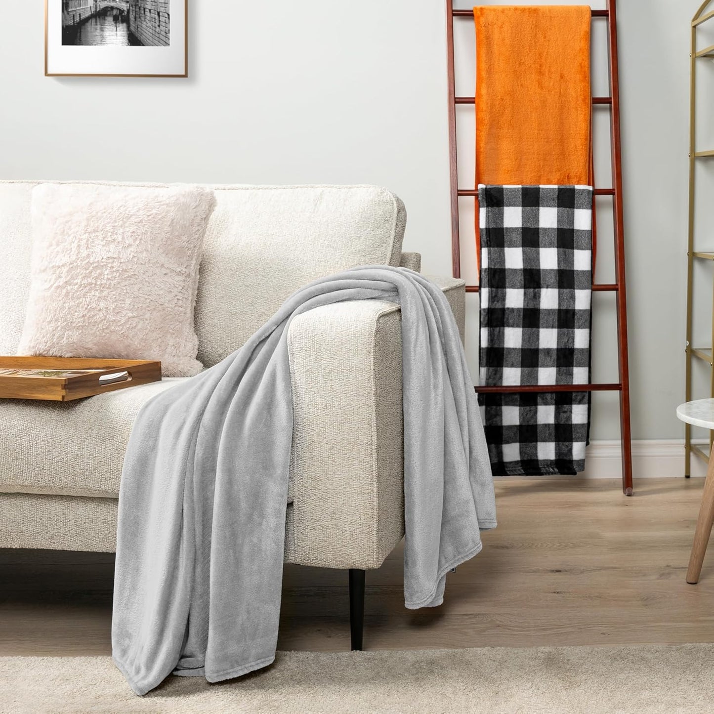 PAVILIA Light Grey Fleece Throw Blanket for Couch, Silver Super Soft Fuzzy Flannel Throw for Sofa, Luxury Plush Microfiber Bed Blanket, Cozy Home Decorative Velvet Gift Blanket, 50x60