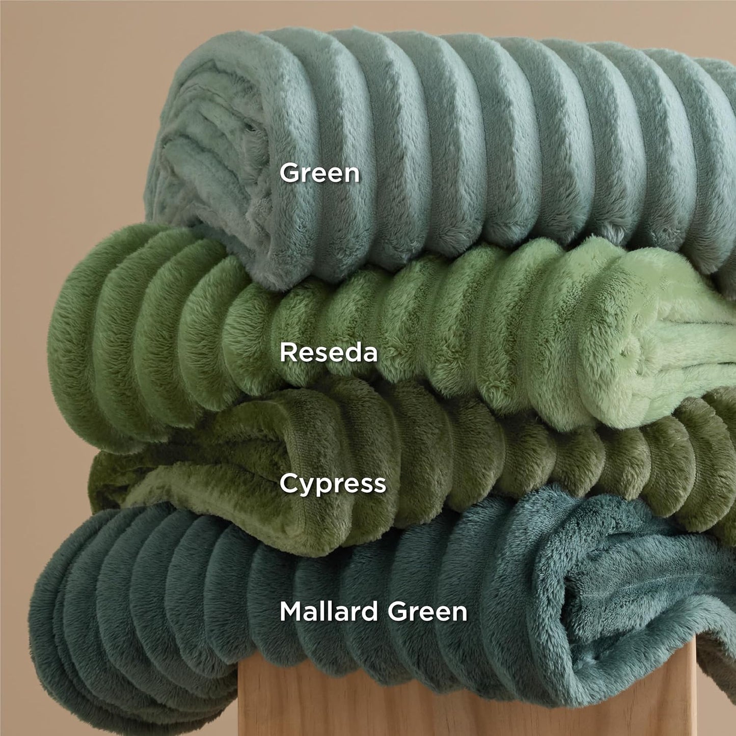 Bedsure GentleSoft Sage Green Throw Blanket for Couch - Cozy Soft Spring Blankets for Women, Cute Small Fleece Throws Spring Gifts for Women Teen Girls, Sage Green Decor Room Home, 50x60 Inches