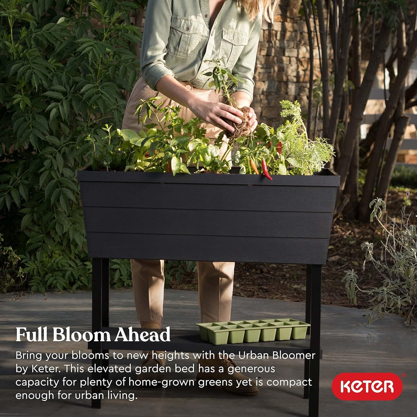 Keter Urban Bloomer 12.7‑Gallon Raised Garden Bed – Elevated Outdoor Planter Box with Self‑Watering Reservoir, Water Gauge & Drainage System, Perfect for Herbs & Vegetables, Dark Grey