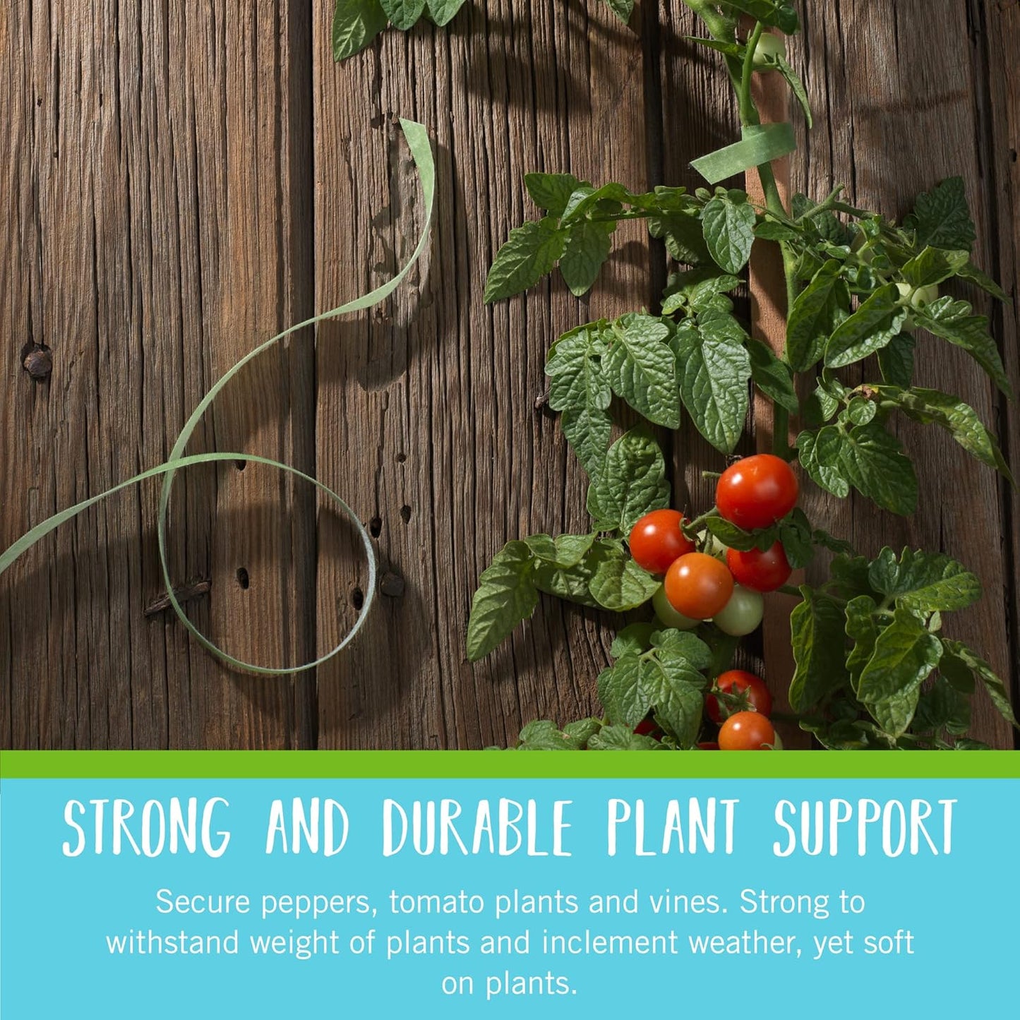 VELCRO Brand VEL-30071-USA ONE-WRAP Garden Ties | Plant Supports for Effective Growing | Strong Grips are Reusable and Adjustable | Cut-to-Length, 50 ft x 1/2 in, Green-Recycled Plastic