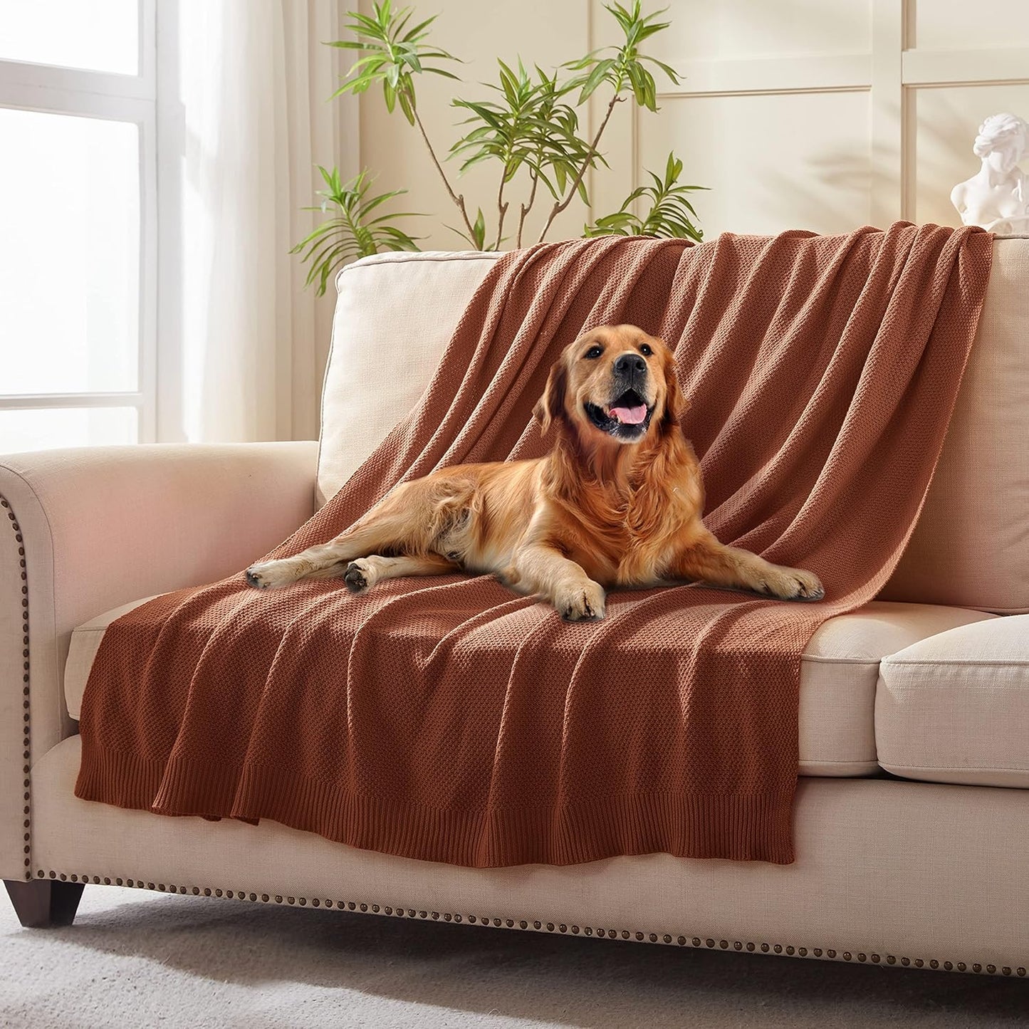 TREELY 100% Cotton Knitted Throw Blanket for Couch Chair Bed Home Decorative, Soft & Cozy Knit Throw Blanket(60"x80", Brown)