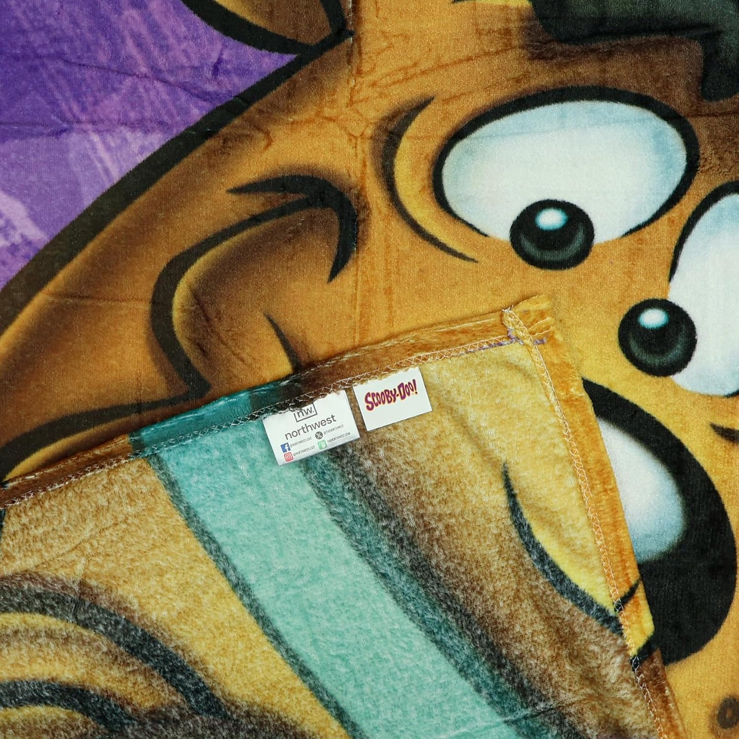 Northwest Scooby Doo Blanket Loveable Pup Close Up Silk Touch Lightweight Throw 46" X 60"